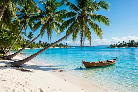 Tropical Beach Paradise
