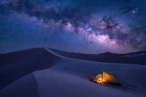 Desert Night Under the Stars