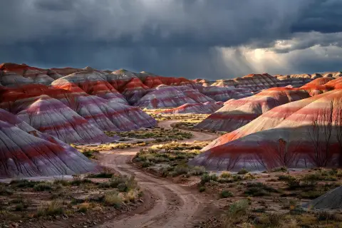 Painted Desert Stripes